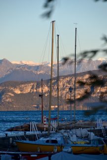 Ristorante il Porticciolo Lazise