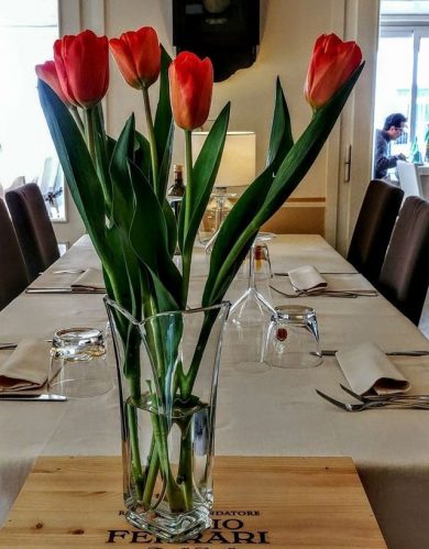 Ristorante il Porticciolo Lazise